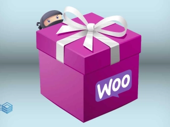 افزونه‌های ضروری برای یک فروشگاه ووکامرسی موفق