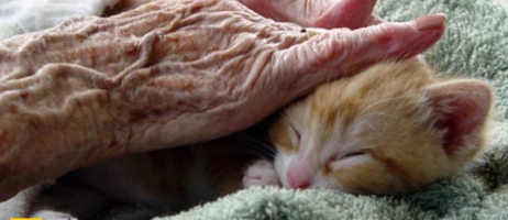 تأثیر نگهداری از حیوانات خانگی بر افسردگی سالمندان