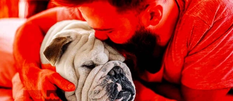 آگهی رایگان واگذاری حیوانات خانگی در شیراز: راهنمای کامل