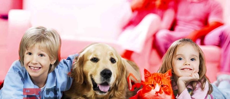 ۱۰ نکته طلایی برای نگهداری سالم‌تر از حیوانات خانگی