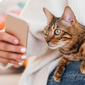 نقش مشاوره حیوانات خانگی در بهبود رفتار پت‌ها