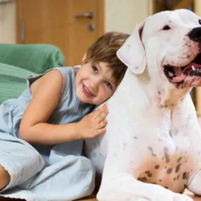 رفتارهای نگران‌کننده پت شما چه معنی‌ای دارند؟ نظر کارشناس را بدانید