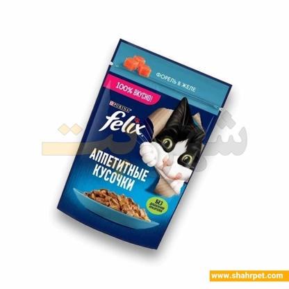 پوچ گربه فلیکس قزل آلا در ژله ۷۵ گرم