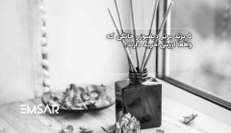 ۵ برند برتر دیفیوزر خانگی که واقعاً ارزش خرید دارند!