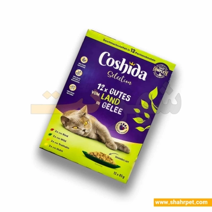 پوچ گربه کوشیدا در ژله بسته ۱۲ عددی