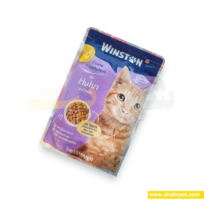 پوچ گربه وینستون مرغ در سس تخم مرغ ۱۰۰ گرم