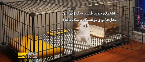 راهنمای خرید قفس سگ | بهترین مدل‌ها برای توله‌سگ و سگ بالغ!