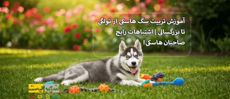 آموزش تربیت سگ هاسکی از تولگی تا بزرگسالی | اشتباهات رایج صاحبان هاسکی!