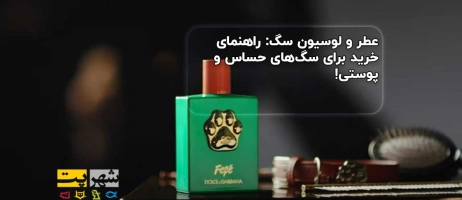 عطر و لوسیون سگ: راهنمای خرید برای سگ‌های حساس و پوستی!