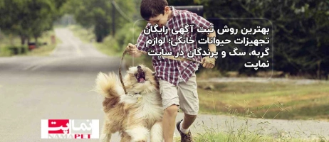 بهترین روش ثبت آگهی رایگان تجهیزات حیوانات خانگی؛ لوازم گربه، سگ و پرندگان در سایت نماپت