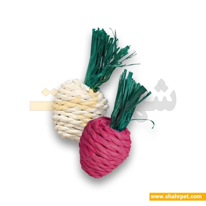 اسباب بازی جونده تریکسی هویج 