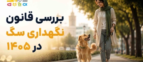 قانون نگهداری سگ در ایران؛ نکات حقوقی آپارتمان نشینی 1405