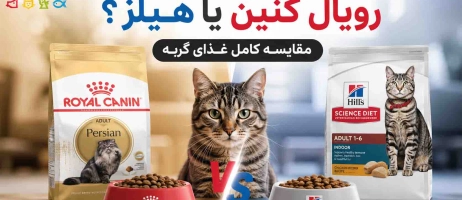 رویال کنین یا هیلز؟ کدام غذای گربه بهتر است؟