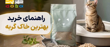 راهنمای انتخاب خاک گربه؛ بنتونیتی، سیلیکاژل یا طبیعی؟