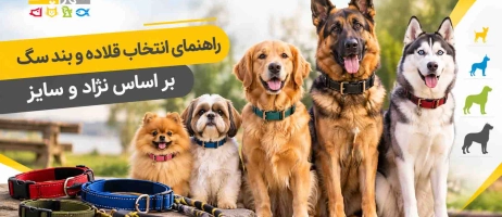 راهنمای انتخاب قلاده و بند سگ بر اساس نژاد و سایز
