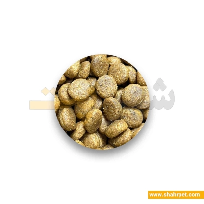 غذای توله سگ رویال کنین مکسی پاپی بسته بندی شهرپت ۱ کیلوگرم