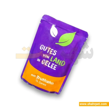 پوچ گربه کوشیدا در ژله بسته ۱۲ عددی