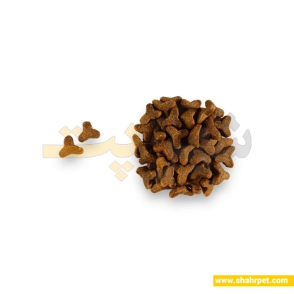 غذای خشک گربه عقیم سولواس وزن ۱۲ کیلوگرم