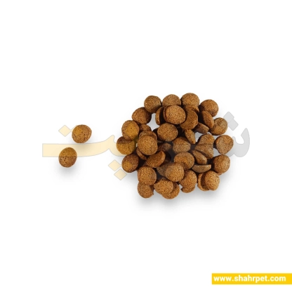 غذای خشک سگ سولواس نژاد کوچک وزن ۱۲ کیلوگرم
