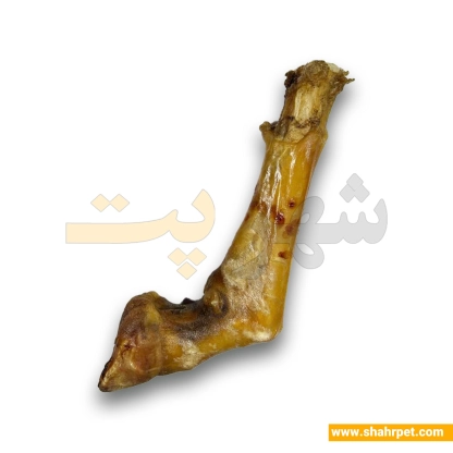 تشویقی سگ ایزگود شهرپت پاچه بزرگ گوسفند بسته ۳ عددی