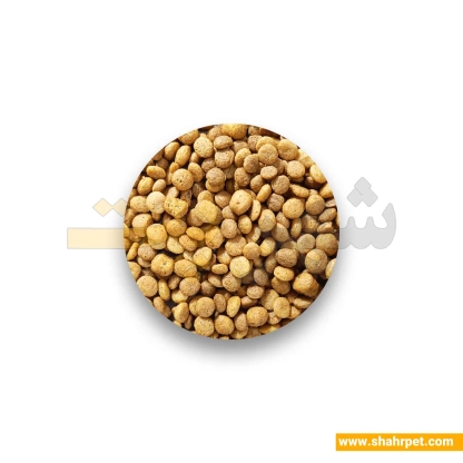 غذای خشک پرمیوم گربه یو اس پت طعم میکس بسته بندی شهرپت ۱.۵ کیلوگرم