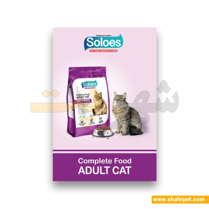غذای خشک گربه بالغ سولواس وزن ۲ کیلوگرم