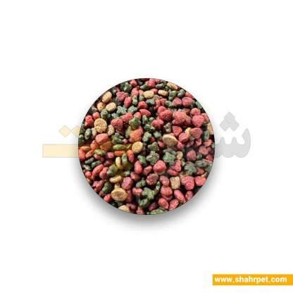 غذای گربه اکونیچر پلاس مولتی کالر بسته بندی شهرپت ۱ کیلوگرم