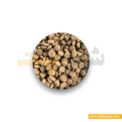 غذای گربه عقیم اکونیچرپلاس مرغ بسته بندی شهرپت ۱ کیلوگرم