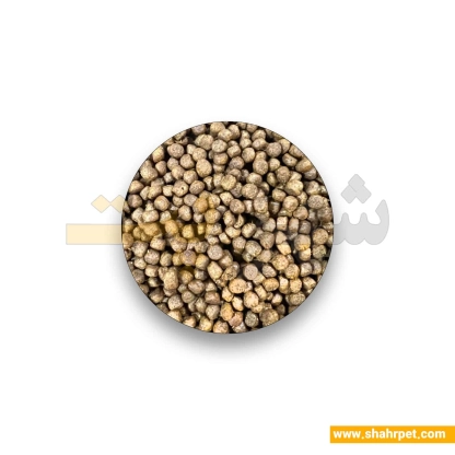 غذای خشک بچه گربه اکونیچر پلاس ۱۵ کیلوگرم