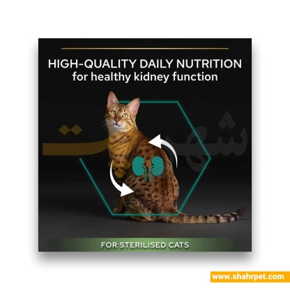 غذای گربه رنال پلاس عقیم پروپلن طعم خرگوش وزن ۱.۵ کیلوگرم