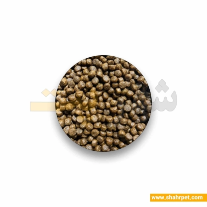 غذای خشک بچه گربه پرونیچر مرغ بسته بندی شهرپت ۱ کیلوگرم