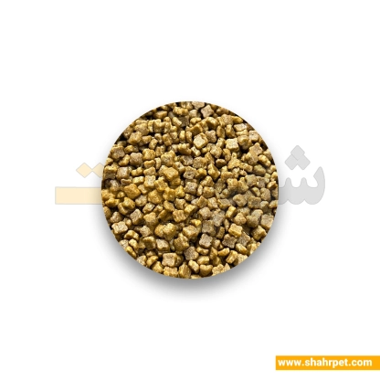 غذای خشک بچه گربه رویال کنین مادر اند بیبی بسته بندی شهرپت ۵۰۰ گرم