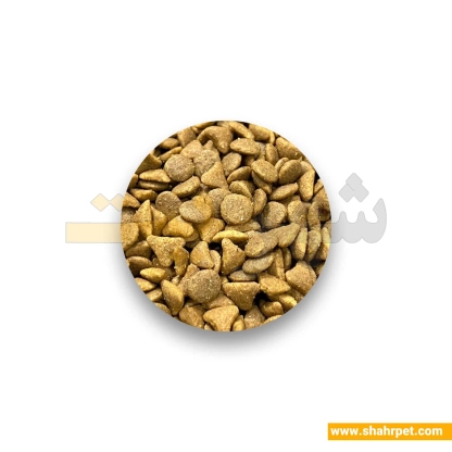 غذای خشک گربه ساور اگزیجنت رویال کنین ۲ کیلوگرم