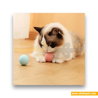 توپ هوشمند سگ و گربه Rotating