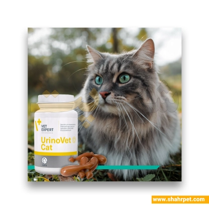 مکمل یورینری گربه وت اکسپرت Urinovet Cat Dilution بسته 45 عددی