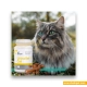 مکمل یورینری گربه وت اکسپرت Urinovet Cat Dilution بسته 45 عددی | شهرپت | خرید قسطی و ارسال فوری