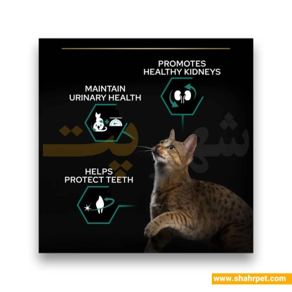 غذای گربه رنال پلاس عقیم پروپلن طعم خرگوش وزن ۱.۵ کیلوگرم