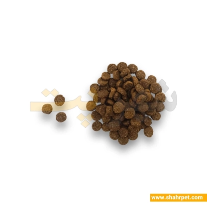 غذای خشک گربه بالغ بابین کلاسیک مرغ بسته بندی شهرپت 1 کیلوگرم