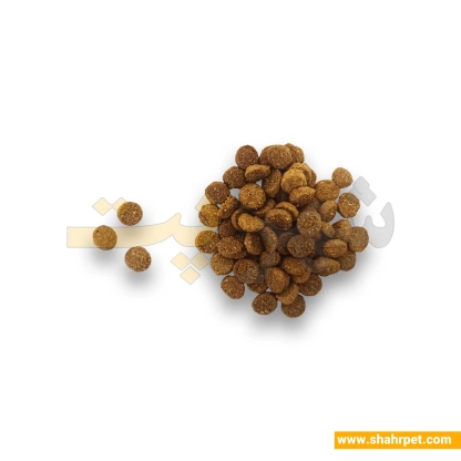 غذای گربه عقیم بابین طعم مرغ وزن 1.5 کیلوگرم