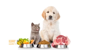 &Oslash;&uml;&Ugrave;&Dagger;&Oslash;&ordf;&Oslash;&plusmn;&Ucirc;&OElig;&Ugrave;&dagger; &Oslash;&ordf;&Oslash;&ordm;&Oslash;&deg;&Ucirc;&OElig;&Ugrave;&Dagger; &Oslash;&uml;&Oslash;&plusmn;&Oslash;&sect;&Ucirc;&OElig; &Oslash;&shy;&Ucirc;&OElig;&Ugrave;&circ;&Oslash;&sect;&Ugrave;&dagger;&Oslash;&sect;&Oslash;&ordf; &Oslash;&reg;&Oslash;&sect;&Ugrave;&dagger;&Uacute;&macr;&Ucirc;&OElig; &Ugrave;&circ; &Oslash;&sect;&Ugrave;&dagger;&Ugrave;&circ;&Oslash;&sect;&Oslash;&sup1; &Oslash;&cent;&Ugrave;&dagger;