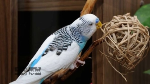 &Ugrave;&hellip;&Oslash;&sup1;&Oslash;&plusmn;&Ugrave;&Ucirc;&OElig; &Oslash;&sect;&Oslash;&sup3;&Oslash;&uml;&Oslash;&sect;&Oslash;&uml; &Oslash;&uml;&Oslash;&sect;&Oslash;&sup2;&Ucirc;&OElig; &Ugrave;&Dagger;&Oslash;&sect;&Ucirc;&OElig; &Oslash;&middot;&Oslash;&uml;&Ucirc;&OElig;&Oslash;&sup1;&Ucirc;&OElig; &Oslash;&uml;&Oslash;&plusmn;&Oslash;&sect;&Ucirc;&OElig; &Ugrave;&frac34;&Oslash;&plusmn;&Ugrave;&dagger;&Oslash;&macr;&Uacute;&macr;&Oslash;&sect;&Ugrave;&dagger; &Oslash;&reg;&Oslash;&sect;&Ugrave;&dagger;&Uacute;&macr;&Ucirc;&OElig;