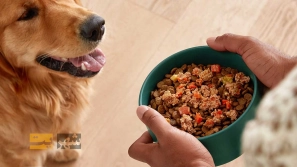 ØºØ°Ø§ÛŒ ØªØ± Ø³Ú¯: Ù…Ø²Ø§ÛŒØ§ Ùˆ Ù…Ø¹Ø§ÛŒØ¨ + 7 Ø¨Ø±Ù†Ø¯ ØºØ°Ø§ÛŒ Ø³Ú¯!