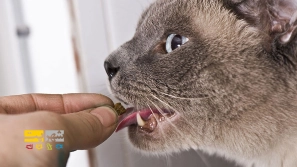 &Ugrave;&sbquo;&Oslash;&plusmn;&Oslash;&micro; &Ugrave;&frac34;&Ucirc;&OElig;&Ugrave;&hellip;&Ugrave;&circ;&Oslash;&uml;&Ugrave;&dagger;&Oslash;&macr;&Oslash;&sect;&Ugrave;&dagger; &Uacute;&dagger;&Ucirc;&OElig;&Oslash;&sup3;&Oslash;&ordf;&Oslash;&Yuml; &Uacute;&copy;&Oslash;&sect;&Oslash;&plusmn;&Oslash;&uml;&Oslash;&plusmn;&Oslash;&macr;&Oslash;&OElig; &Oslash;&macr;&Ugrave;&circ;&Oslash;&sup2; &Ugrave;&hellip;&Oslash;&micro;&Oslash;&plusmn;&Ugrave; &Ugrave;&circ; &Oslash;&sup1;&Ugrave;&circ;&Oslash;&sect;&Oslash;&plusmn;&Oslash;&para; &Oslash;&sect;&Oslash;&shy;&Oslash;&ordf;&Ugrave;&hellip;&Oslash;&sect;&Ugrave;&bdquo;&Ucirc;&OElig;!