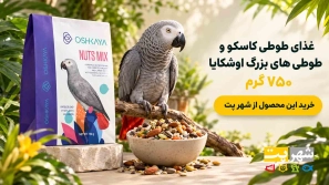 &Uacute;&dagger;&Ugrave;&Dagger; &Oslash;&ordm;&Oslash;&deg;&Oslash;&sect;&Ugrave;&Dagger;&Oslash;&sect;&Ucirc;&OElig;&Ucirc;&OElig; &Oslash;&uml;&Oslash;&plusmn;&Oslash;&sect;&Ucirc;&OElig; &Uacute;&copy;&Oslash;&sect;&Oslash;&sup3;&Uacute;&copy;&Ugrave;&circ; &Ugrave;&hellip;&Ugrave;&hellip;&Ugrave;&dagger;&Ugrave;&circ;&Oslash;&sup1; &Oslash;&sect;&Oslash;&sup3;&Oslash;&ordf;&Oslash;&Yuml; &Ugrave;&bdquo;&Ucirc;&OElig;&Oslash;&sup3;&Oslash;&ordf; &Oslash;&reg;&Ugrave;&circ;&Oslash;&plusmn;&Oslash;&sect;&Uacute;&copy;&Ucirc;&OElig; &Ugrave;&Dagger;&Oslash;&sect;&Ucirc;&OElig; &Oslash;&reg;&Oslash;&middot;&Oslash;&plusmn;&Ugrave;&dagger;&Oslash;&sect;&Uacute;&copy;
