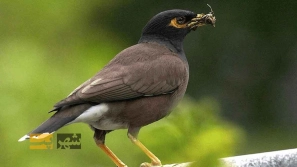 &Oslash;&uml;&Ugrave;&Dagger;&Oslash;&ordf;&Oslash;&plusmn;&Ucirc;&OElig;&Ugrave;&dagger; &Oslash;&plusmn;&Ugrave;&circ;&Oslash;&acute;&acirc;&euro;&OElig;&Ugrave;&Dagger;&Oslash;&sect;&Ucirc;&OElig; &Oslash;&ordf;&Oslash;&ordm;&Oslash;&deg;&Ucirc;&OElig;&Ugrave;&Dagger; &Ugrave;&hellip;&Oslash;&plusmn;&Oslash;&ordm; &Ugrave;&hellip;&Ucirc;&OElig;&Ugrave;&dagger;&Oslash;&sect; &Oslash;&uml;&Oslash;&plusmn;&Oslash;&sect;&Ucirc;&OElig; &Oslash;&sup3;&Ugrave;&bdquo;&Oslash;&sect;&Ugrave;&hellip;&Oslash;&ordf; &Ugrave;&circ; &Oslash;&acute;&Oslash;&sect;&Oslash;&macr;&Oslash;&sect;&Oslash;&uml;&Ucirc;&OElig;