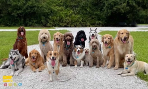 &Ugrave;&hellip;&Oslash;&sup1;&Oslash;&plusmn;&Ugrave;&Ucirc;&OElig; &Ugrave;&dagger;&Uacute;&tilde;&Oslash;&sect;&Oslash;&macr;&Ugrave;&Dagger;&Oslash;&sect;&Ucirc;&OElig; &Ugrave;&hellip;&Oslash;&shy;&Oslash;&uml;&Ugrave;&circ;&Oslash;&uml; &Oslash;&shy;&Ucirc;&OElig;&Ugrave;&circ;&Oslash;&sect;&Ugrave;&dagger;&Oslash;&sect;&Oslash;&ordf; &Oslash;&reg;&Oslash;&sect;&Ugrave;&dagger;&Uacute;&macr;&Ucirc;&OElig; &Ugrave;&circ; &Ugrave;&circ;&Ucirc;&OElig;&Uacute;&tilde;&Uacute;&macr;&Ucirc;&OElig;&acirc;&euro;&OElig;&Ugrave;&Dagger;&Oslash;&sect;&Ucirc;&OElig; &Ugrave;&hellip;&Ugrave;&dagger;&Oslash;&shy;&Oslash;&micro;&Oslash;&plusmn;&Oslash;&uml;&Ugrave;&Dagger;&acirc;&euro;&OElig;&Ugrave;&Oslash;&plusmn;&Oslash;&macr;&Oslash;&acute;&Oslash;&sect;&Ugrave;&dagger;