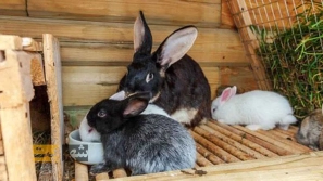 &Ugrave;&Dagger;&Ugrave;&hellip;&Ugrave;&Dagger; &Uacute;&dagger;&Ucirc;&OElig;&Oslash;&sup2; &Oslash;&macr;&Oslash;&plusmn;&Oslash;&uml;&Oslash;&sect;&Oslash;&plusmn;&Ugrave;&Dagger; &Oslash;&ordf;&Ugrave;&circ;&Ugrave;&bdquo;&Ucirc;&OElig;&Oslash;&macr; &Ugrave;&hellip;&Oslash;&laquo;&Ugrave;&bdquo; &Oslash;&reg;&Oslash;&plusmn;&Uacute;&macr;&Ugrave;&circ;&Oslash;&acute;&acirc;&euro;&OElig;&Ugrave;&Dagger;&Oslash;&sect;: &Oslash;&sect;&Oslash;&sup2; &Oslash;&not;&Ugrave;&Oslash;&ordf;&acirc;&euro;&OElig;&Uacute;&macr;&Ucirc;&OElig;&Oslash;&plusmn;&Ucirc;&OElig; &Oslash;&ordf;&Oslash;&sect; &Oslash;&ordf;&Ugrave;&circ;&Ugrave;&bdquo;&Oslash;&macr; &Oslash;&uml;&Uacute;&dagger;&Ugrave;&Dagger;&acirc;&euro;&OElig;&Oslash;&reg;&Oslash;&plusmn;&Uacute;&macr;&Ugrave;&circ;&Oslash;&acute;