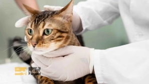 &Uacute;&dagger;&Uacute;&macr;&Ugrave;&circ;&Ugrave;&dagger;&Ugrave;&Dagger; &Oslash;&sect;&Oslash;&sup2; &Uacute;&copy;&Uacute;&copy; &Ugrave;&circ; &Uacute;&copy;&Ugrave;&dagger;&Ugrave;&Dagger; &Oslash;&macr;&Oslash;&plusmn; &Oslash;&shy;&Ucirc;&OElig;&Ugrave;&circ;&Oslash;&sect;&Ugrave;&dagger;&Oslash;&sect;&Oslash;&ordf; &Oslash;&reg;&Oslash;&sect;&Ugrave;&dagger;&Uacute;&macr;&Ucirc;&OElig; &Oslash;&not;&Ugrave;&bdquo;&Ugrave;&circ;&Uacute;&macr;&Ucirc;&OElig;&Oslash;&plusmn;&Ucirc;&OElig; &Uacute;&copy;&Ugrave;&dagger;&Ucirc;&OElig;&Ugrave;&hellip;&Oslash;&Yuml; &Oslash;&plusmn;&Oslash;&sect;&Ugrave;&Dagger;&Ugrave;&dagger;&Ugrave;&hellip;&Oslash;&sect;&Ucirc;&OElig; &Uacute;&copy;&Oslash;&sect;&Ugrave;&hellip;&Ugrave;&bdquo; &Oslash;&uml;&Oslash;&plusmn;&Oslash;&sect;&Ucirc;&OElig; &Oslash;&micro;&Oslash;&sect;&Oslash;&shy;&Oslash;&uml;&Oslash;&sect;&Ugrave;&dagger; &Oslash;&sup3;&Uacute;&macr; &Ugrave;&circ; &Uacute;&macr;&Oslash;&plusmn;&Oslash;&uml;&Ugrave;&Dagger;