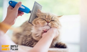 10 &Ugrave;&dagger;&Uacute;&copy;&Oslash;&ordf;&Ugrave;&Dagger; &Ugrave;&hellip;&Ugrave;&Dagger;&Ugrave;&hellip; &Ugrave;&sbquo;&Oslash;&uml;&Ugrave;&bdquo; &Oslash;&sect;&Oslash;&sup2; &Oslash;&uml;&Ugrave;&Dagger; &Oslash;&sup3;&Oslash;&plusmn;&Ugrave;&frac34;&Oslash;&plusmn;&Oslash;&sup3;&Oslash;&ordf;&Ucirc;&OElig; &Uacute;&macr;&Oslash;&plusmn;&Ugrave;&Oslash;&ordf;&Ugrave;&dagger; &Ugrave;&circ; &Ucirc;&OElig;&Oslash;&sect; &Oslash;&reg;&Oslash;&plusmn;&Ucirc;&OElig;&Oslash;&macr; &Uacute;&macr;&Oslash;&plusmn;&Oslash;&uml;&Ugrave;&Dagger;