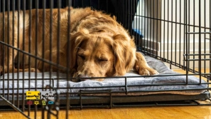 &Oslash;&plusmn;&Oslash;&sect;&Ugrave;&Dagger;&Ugrave;&dagger;&Ugrave;&hellip;&Oslash;&sect;&Ucirc;&OElig; &Oslash;&reg;&Oslash;&plusmn;&Ucirc;&OElig;&Oslash;&macr; &Ugrave;&sbquo;&Ugrave;&Oslash;&sup3; &Oslash;&sup3;&Uacute;&macr; | &Oslash;&uml;&Ugrave;&Dagger;&Oslash;&ordf;&Oslash;&plusmn;&Ucirc;&OElig;&Ugrave;&dagger; &Ugrave;&hellip;&Oslash;&macr;&Ugrave;&bdquo;&acirc;&euro;&OElig;&Ugrave;&Dagger;&Oslash;&sect; &Oslash;&uml;&Oslash;&plusmn;&Oslash;&sect;&Ucirc;&OElig; &Oslash;&ordf;&Ugrave;&circ;&Ugrave;&bdquo;&Ugrave;&Dagger;&acirc;&euro;&OElig;&Oslash;&sup3;&Uacute;&macr; &Ugrave;&circ; &Oslash;&sup3;&Uacute;&macr; &Oslash;&uml;&Oslash;&sect;&Ugrave;&bdquo;&Oslash;&ordm;!